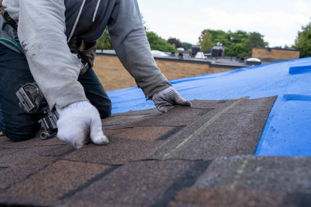 Best Roof Leak Repair  in Shenandoah Farms, VA
