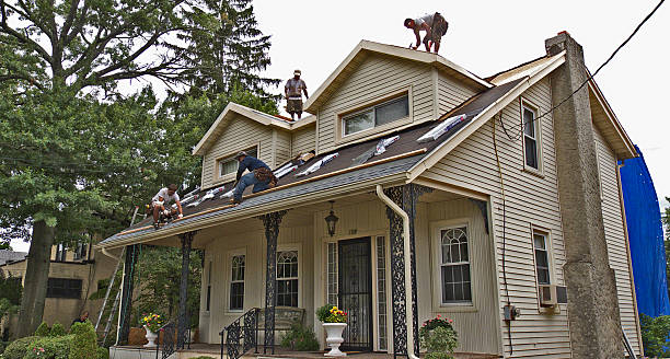 Best Roof Repair Services  in Shenandoah Farms, VA
