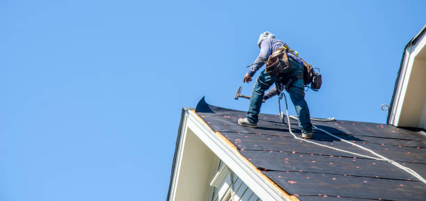 Best Metal Roofing Contractor  in Shenandoah Farms, VA