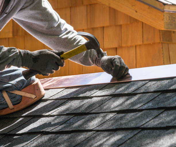 Best Roof Gutter Cleaning  in Shenandoah Farms, VA